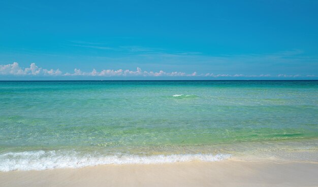 Wave of the sea on the sand beach. Daylight landscape viewpoint for design postcard.