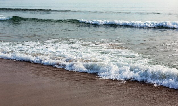햇빛이 비치는 모래 사장의 바다 물결 바다 해안 젖은 모래 일본해 자연 구성
