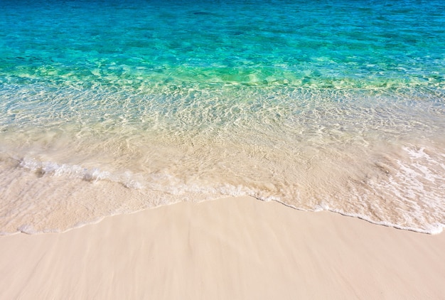 Wave of the sea on sandy beach