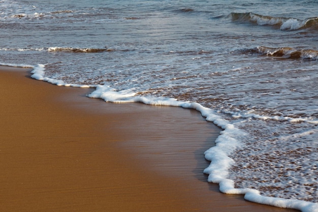 Wave surging on sand