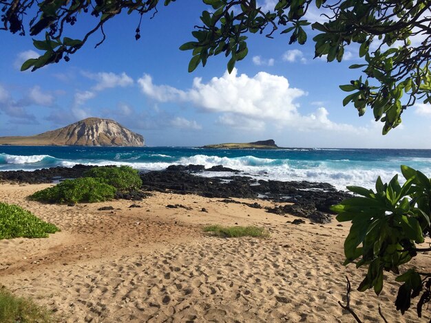 Photo wave on wave oahu hawaii