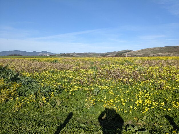 Wavecrest open space preserve