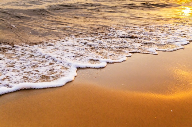 Waves on the beach in the tropics at sunset