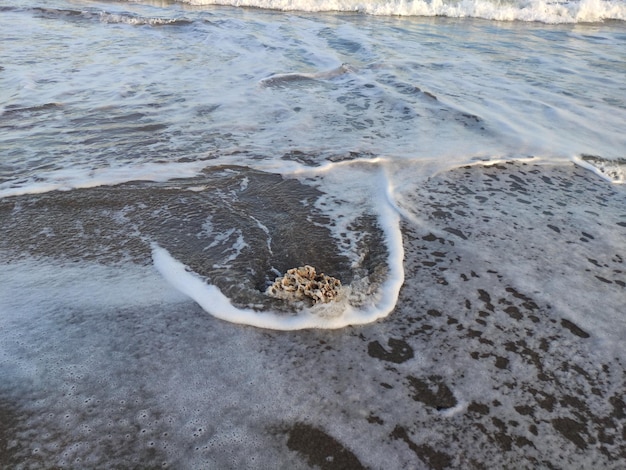 Waves in the beach