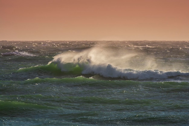 Waves breaking in the ocean Atlantic Ocean Patagonia Argentina