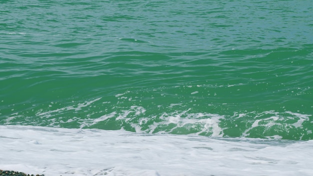 사진 색 거품으로 인 파도 투르코이즈색 거품 같은 바물이 모래 해안에 어지는 느린 동영상