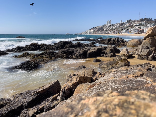 Waves crashing on rocky coast with algae and Renaca tourist beach city on background on sunny day