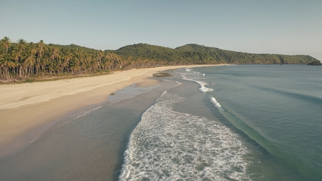 波は砂浜の空中へと落ちます。オーシャンベイの波状の海景。熱帯林のある砂浜