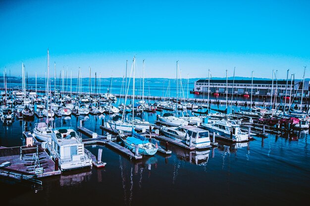 Waves of freedom sailboats embarking on boundless nautical adventures