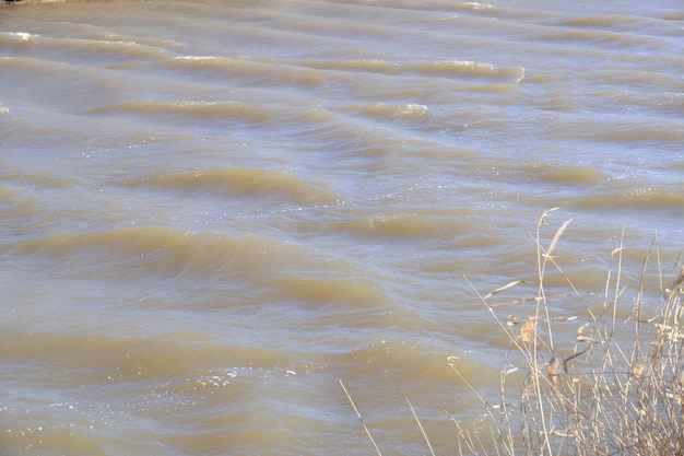 Waves from strong wind surface of muddy river