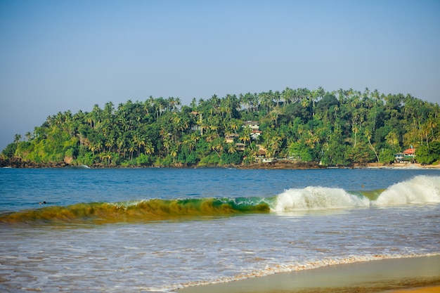 Photo waves on an island with palm trees