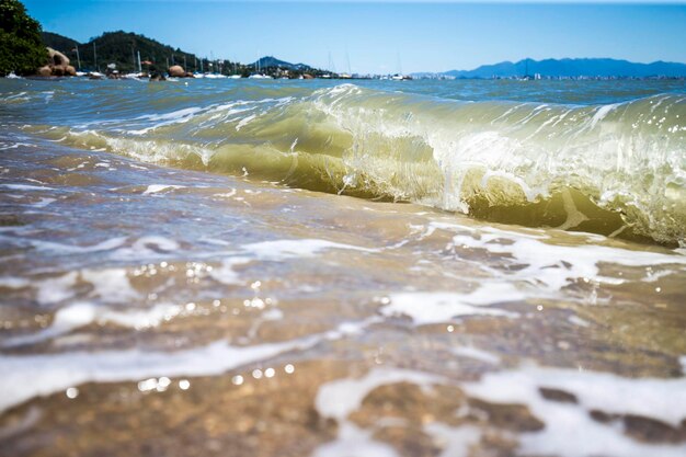 写真 海岸に向かって急ぐ波