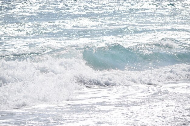 写真 海岸に向かって急ぐ波