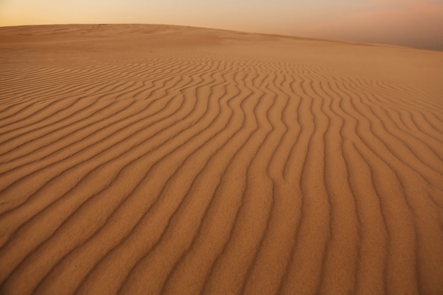 Waves of Sand Texture Dunes of the Desert