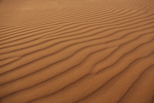 Onde di sabbia texture, dune del deserto.