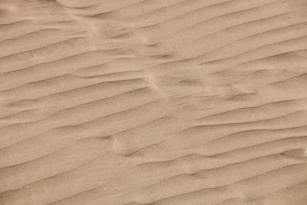 Waves in the sand