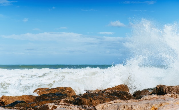 Waves on the sea landscape