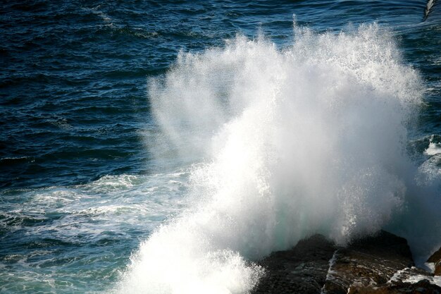 写真 海の波が飛び交う