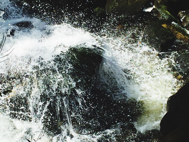 写真 波が水の中を飛び散る