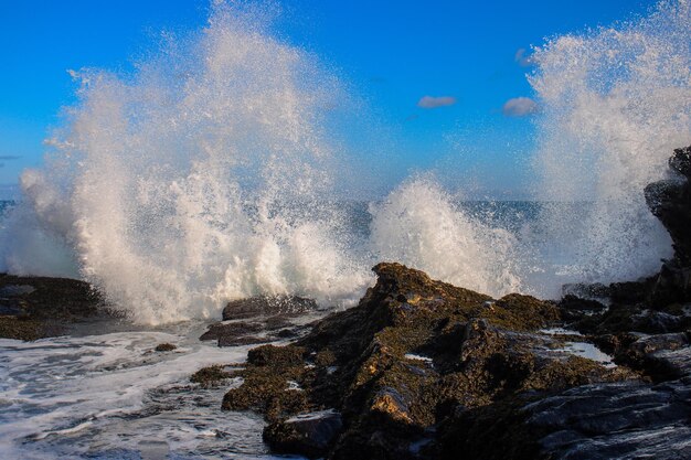 Photo waves splashing on rocks against sea