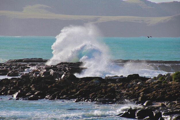 Foto le onde che schizzano sulle rocce sulla riva