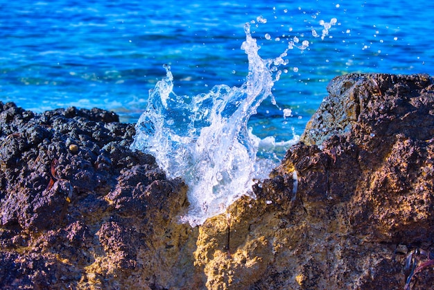 Waves splashing on rocks at shore