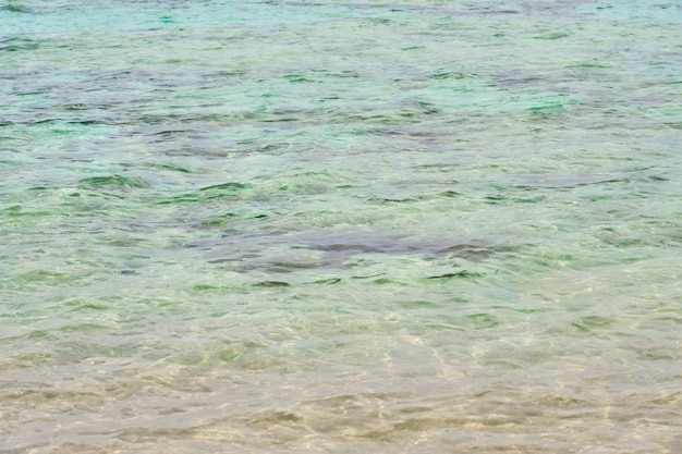 Waves on the surface of the turquoise tropical sea