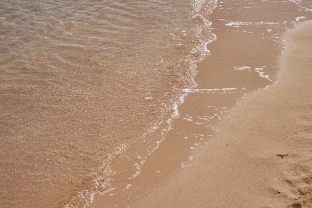 紅海の熱帯の砂浜の波
