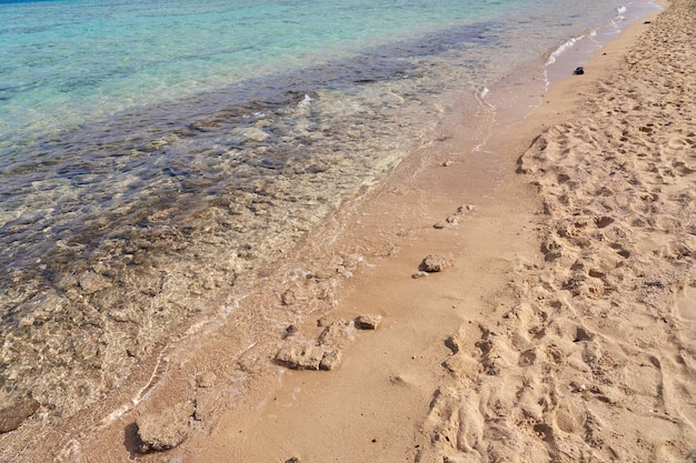 Waves on the tropical sandy beach of the red sea