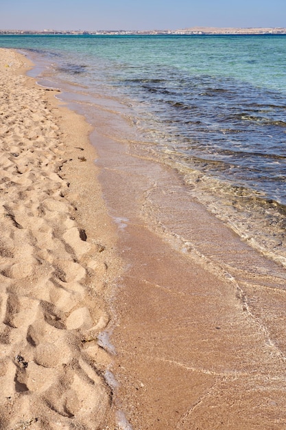 Волны на тропическом песчаном пляже Красного моря