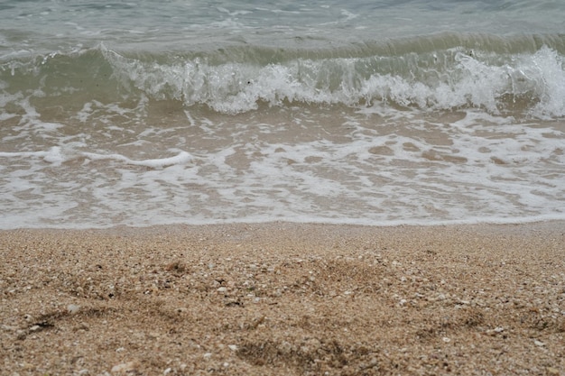 waves on the white sandy beach. clear sea water. natural background. floating sea foam. ocean.