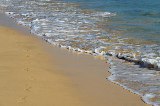 Waves with foam on the Atlantic coast in Cape Verde