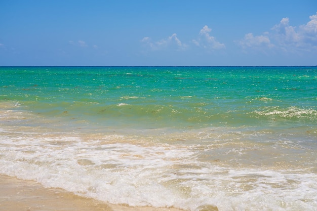 メキシコのカリブ海沿岸の泡を伴う波