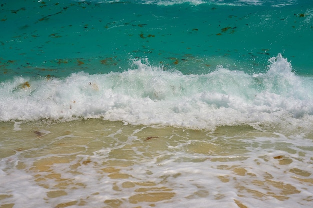 メキシコのカリブ海沿岸の泡を伴う波