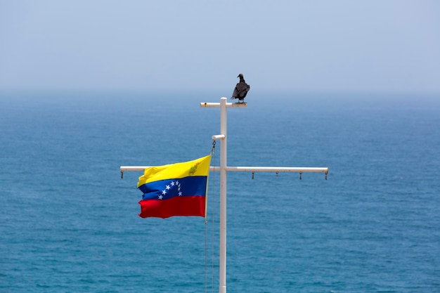 Waving Flag from Venezuela bird and ocean