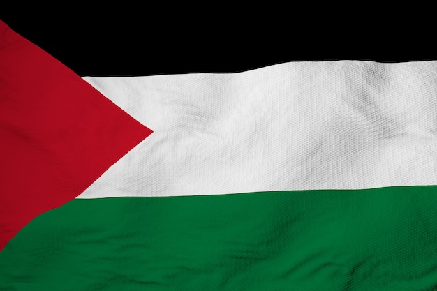 Waving flag of Palestine in 3D rendering