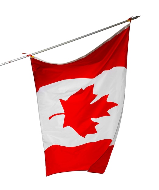 白い背景で隔離のカナダの国旗を振る