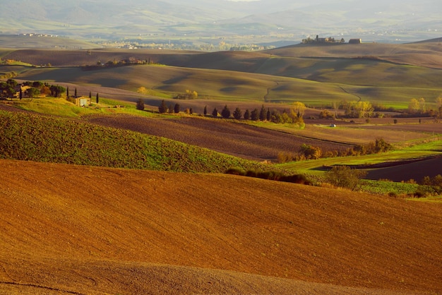 Campi ondulati in toscana