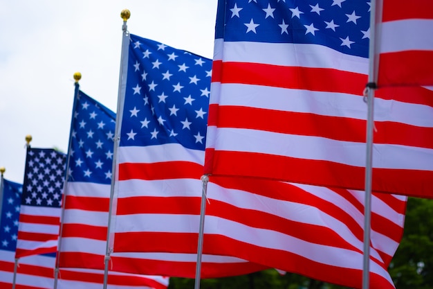 Wavy of United States of America flag with white background.