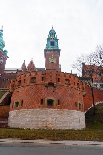 Wawel-heuvel met kathedraal en kasteel in Krakau