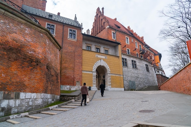 Wawel-heuvel met kathedraal en kasteel in Krakau