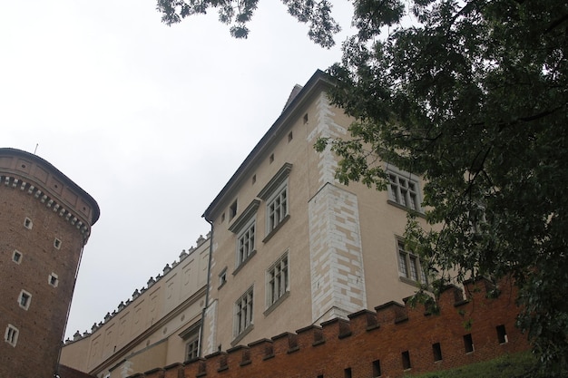 Wawel Kasteel Stad Krakau Polen