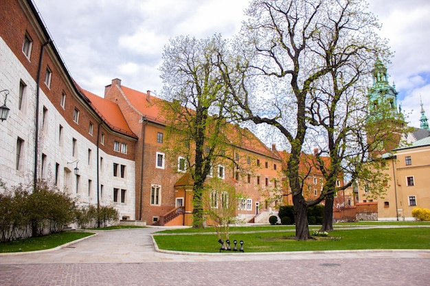 Wawelkasteel Krakau Polen