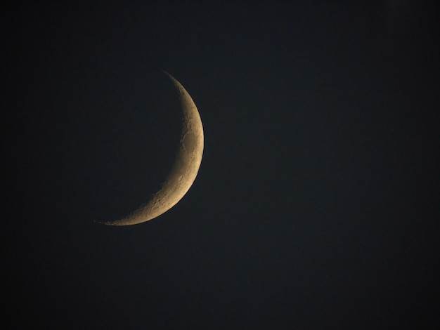 黒の背景にワックス三日月