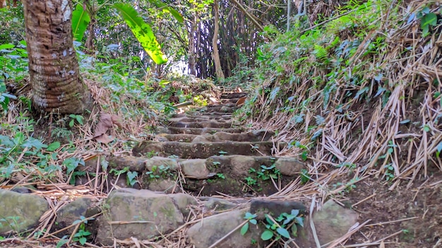 岩の配置で登る途中