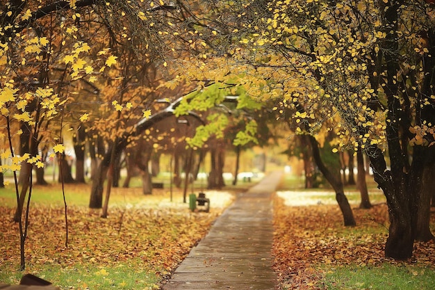 wazig bladeren achtergrond, bokeh parklandschap, herfst uitzicht in oktober