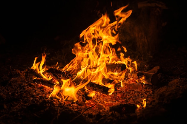 Wazig kampvuur in de nacht. vreugdevuur met een brandende vlam in het donker