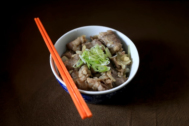 Wazig smakelijke Homade Japanse Gyudon. Beef Bowl met lente-ui bovenop