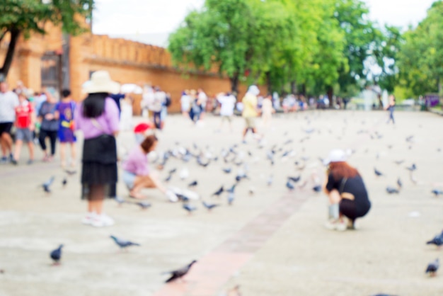 Wazig van mensen voederen duif of duif (Columba livia) vogels en wandelen