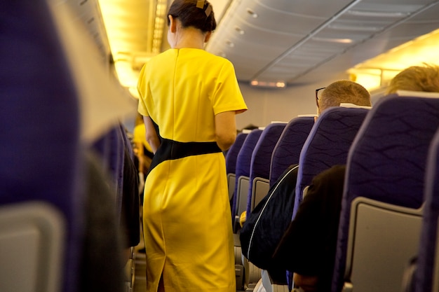 Wazig vliegend personeel, stewardess